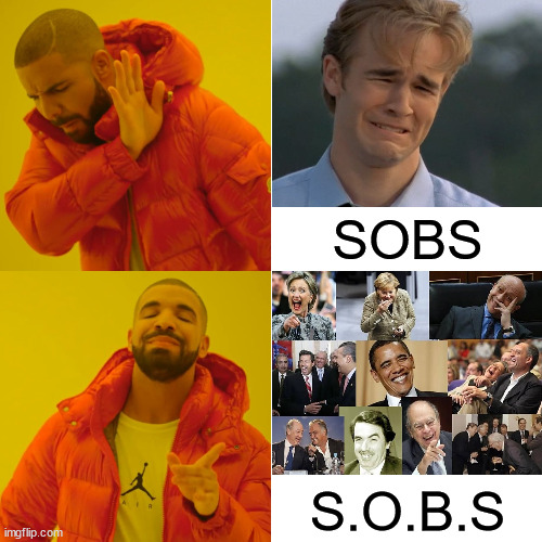 Drake Hotline Bling | SOBS; S.O.B.S | image tagged in memes,drake hotline bling,politicians laughing,first world problems,i see what you did there,it's enough to make a grown man cry | made w/ Imgflip meme maker