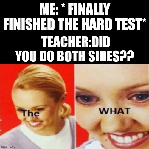 Hehehehe... Wait,  what?! | ME: * FINALLY FINISHED THE HARD TEST*; TEACHER:DID YOU DO BOTH SIDES?? | image tagged in the what | made w/ Imgflip meme maker