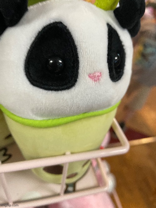 Pic of Panda Plush | image tagged in pic,memes,uwu | made w/ Imgflip meme maker