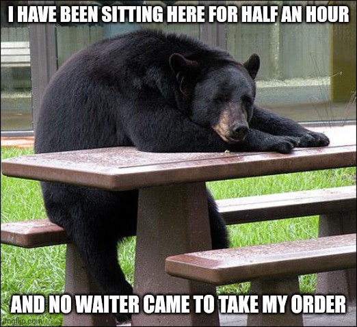 Still Waiting | I HAVE BEEN SITTING HERE FOR HALF AN HOUR; AND NO WAITER CAME TO TAKE MY ORDER | image tagged in still waiting | made w/ Imgflip meme maker
