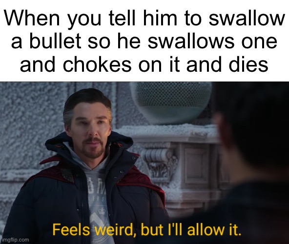 Making memes like fun stream users today | When you tell him to swallow
a bullet so he swallows one
and chokes on it and dies | image tagged in feels weird but i'll allow it | made w/ Imgflip meme maker