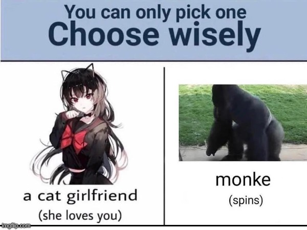 Monke fosho | image tagged in choose wisely,funny,monke,anime,gorilla | made w/ Imgflip meme maker