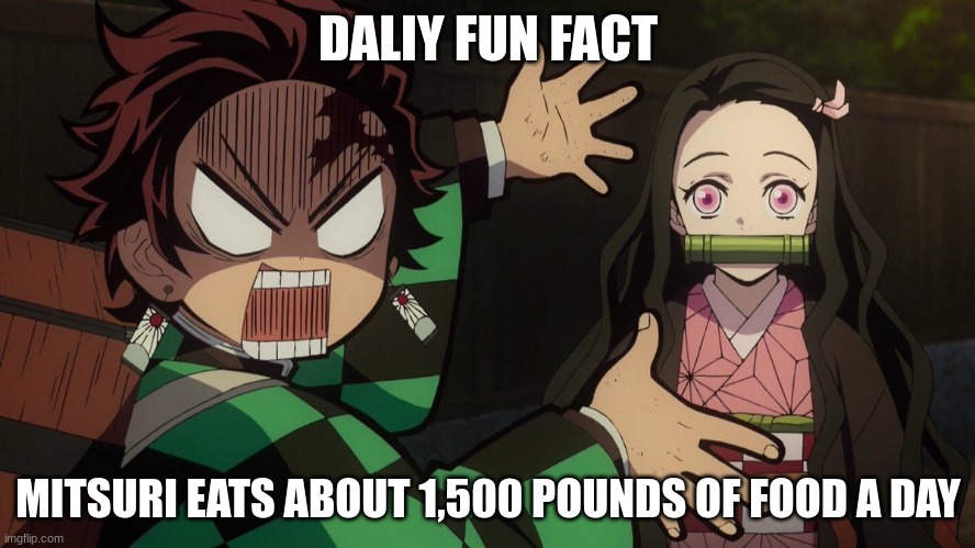 Our Nezuko | DALIY FUN FACT; MITSURI EATS ABOUT 1,500 POUNDS OF FOOD A DAY | image tagged in our nezuko | made w/ Imgflip meme maker