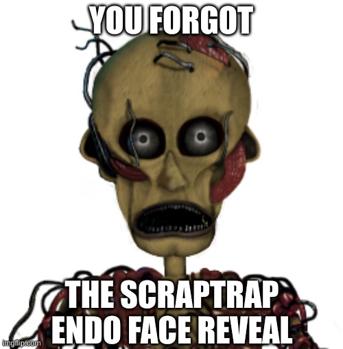 YOU FORGOT THE SCRAPTRAP ENDO FACE REVEAL | made w/ Imgflip meme maker