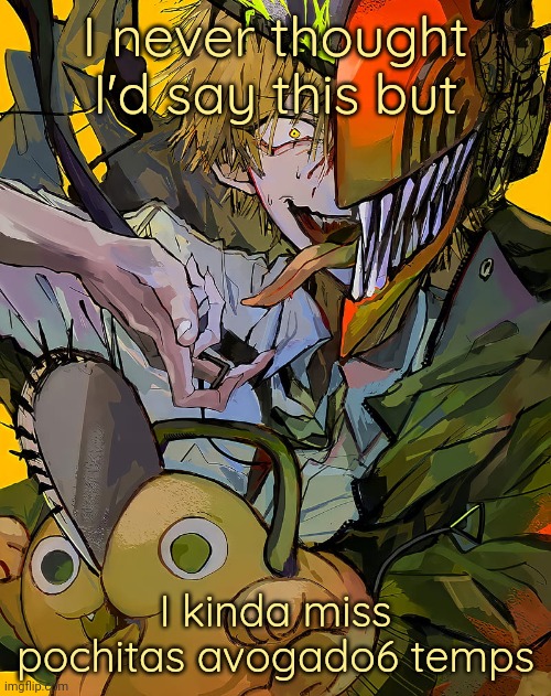 The head explosion thing is mid | I never thought I'd say this but; I kinda miss pochitas avogado6 temps | image tagged in carotata temp | made w/ Imgflip meme maker