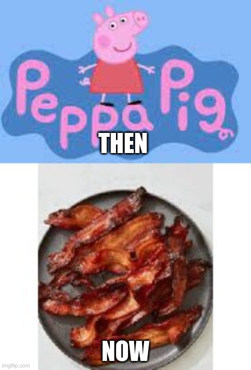THEN; NOW | image tagged in bacon | made w/ Imgflip meme maker
