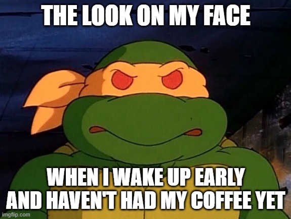 Mikey tmnt 1987 cartoon | THE LOOK ON MY FACE; WHEN I WAKE UP EARLY AND HAVEN'T HAD MY COFFEE YET | image tagged in mikey tmnt 1987 cartoon | made w/ Imgflip meme maker