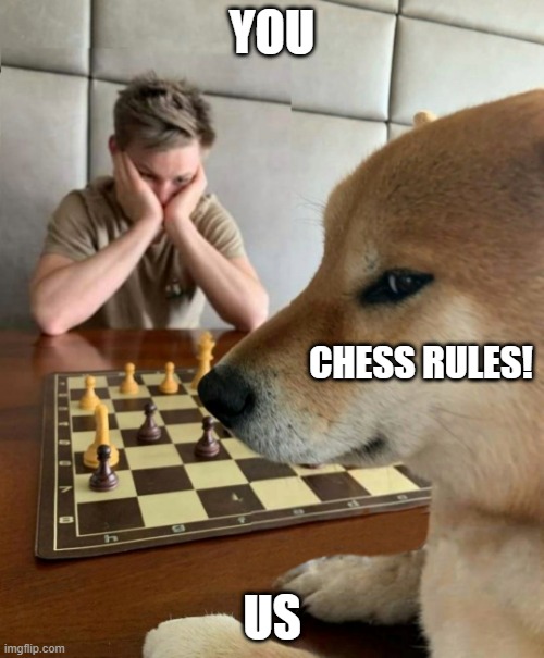 Chess doge | YOU; CHESS RULES! US | image tagged in chess doge | made w/ Imgflip meme maker