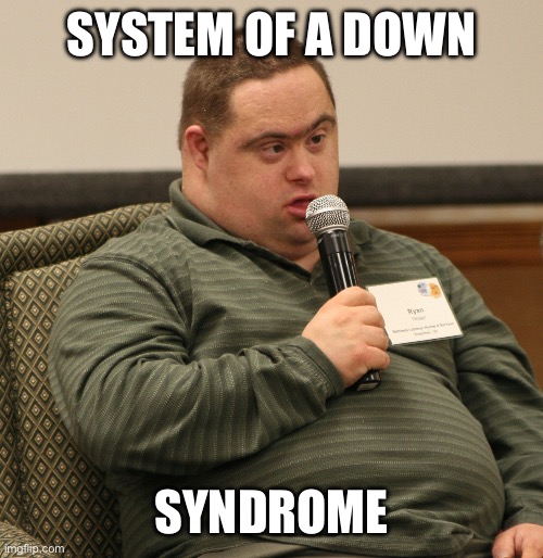 Down Syndrome | SYSTEM OF A DOWN SYNDROME | image tagged in down syndrome | made w/ Imgflip meme maker