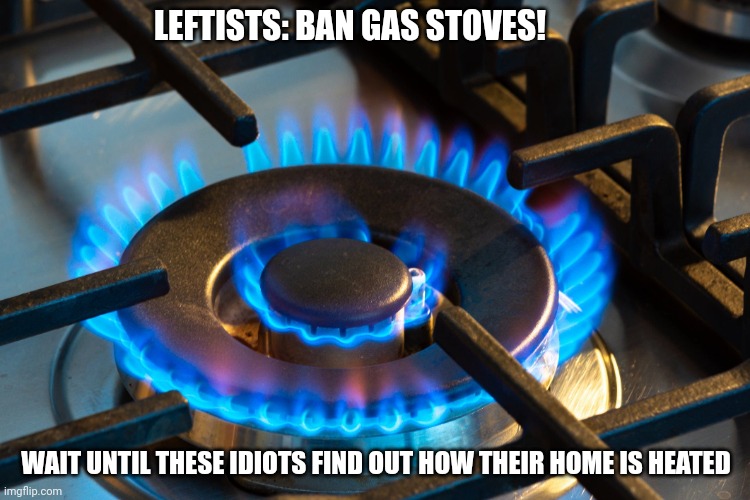 Gas stove | LEFTISTS: BAN GAS STOVES! WAIT UNTIL THESE IDIOTS FIND OUT HOW THEIR HOME IS HEATED | image tagged in gas stove | made w/ Imgflip meme maker