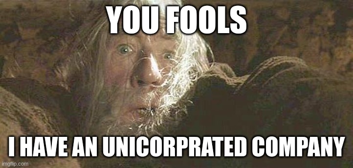 just started it. | YOU FOOLS; I HAVE AN UNICORPRATED COMPANY | image tagged in gandalf fly you fools | made w/ Imgflip meme maker
