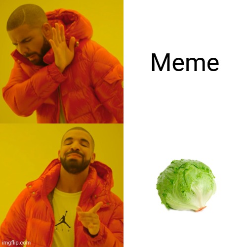 Drake Hotline Bling Meme | Meme | image tagged in memes,drake hotline bling,lettuce,oh wow are you actually reading these tags | made w/ Imgflip meme maker