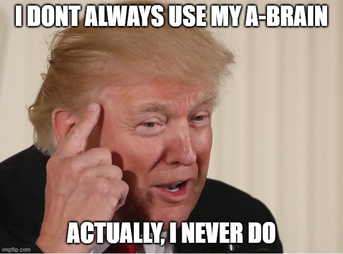 Trump | I DONT ALWAYS USE MY A-BRAIN; ACTUALLY, I NEVER DO | image tagged in dumb white guy | made w/ Imgflip meme maker