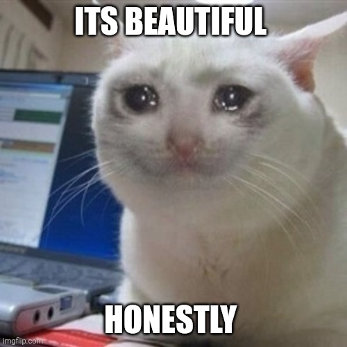 Crying cat | ITS BEAUTIFUL HONESTLY | image tagged in crying cat | made w/ Imgflip meme maker