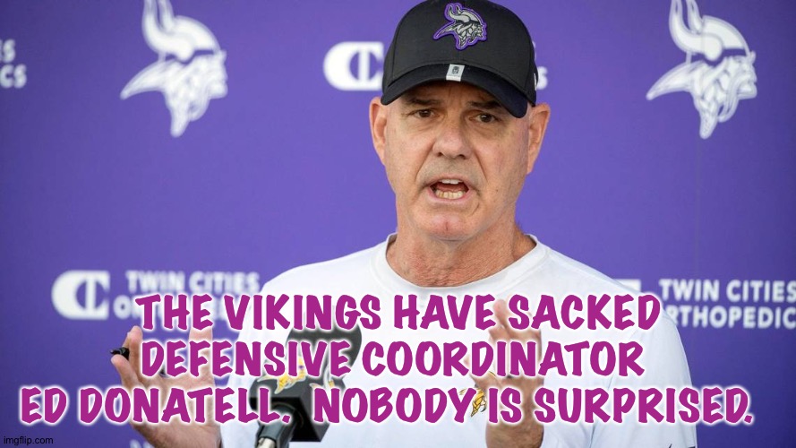 Good offense, no defense. | THE VIKINGS HAVE SACKED DEFENSIVE COORDINATOR 
ED DONATELL.  NOBODY IS SURPRISED. | image tagged in vikings | made w/ Imgflip meme maker