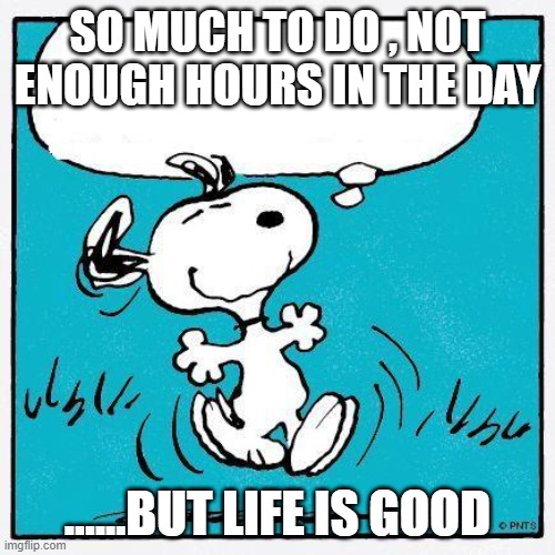 snoopy | SO MUCH TO DO , NOT ENOUGH HOURS IN THE DAY; ......BUT LIFE IS GOOD | image tagged in snoopy | made w/ Imgflip meme maker