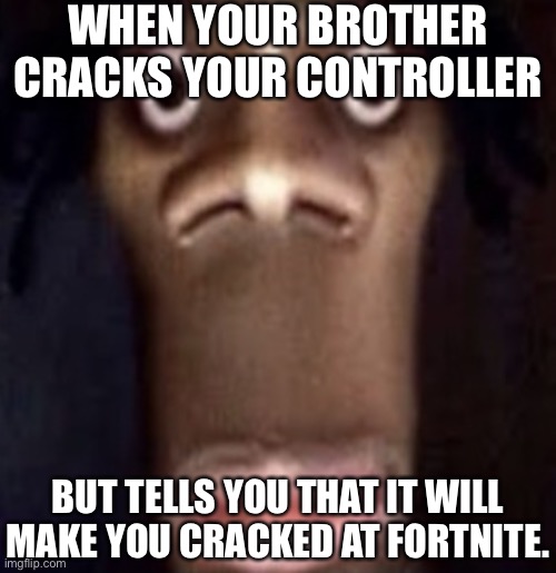 Quandale dingle | WHEN YOUR BROTHER CRACKS YOUR CONTROLLER; BUT TELLS YOU THAT IT WILL MAKE YOU CRACKED AT FORTNITE. | image tagged in quandale dingle | made w/ Imgflip meme maker