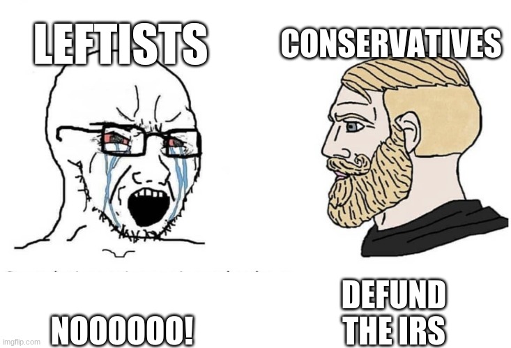 My First Meme On This Platform | LEFTISTS; CONSERVATIVES; DEFUND THE IRS; NOOOOOO! | image tagged in soyboy vs yes chad | made w/ Imgflip meme maker