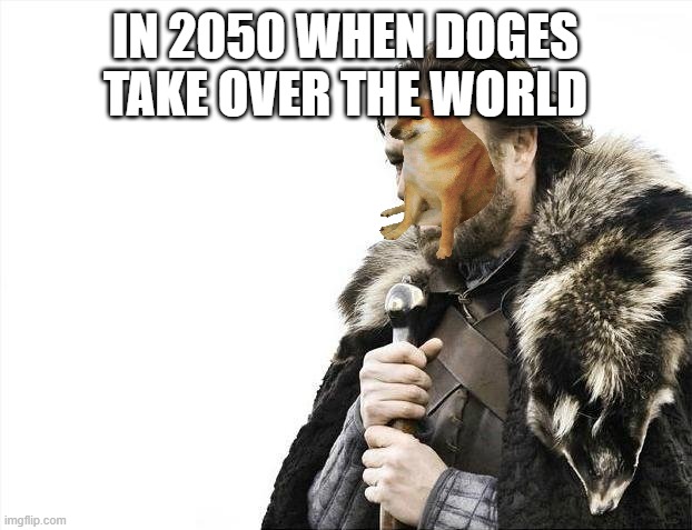 Brace Yourselves X is Coming | IN 2050 WHEN DOGES TAKE OVER THE WORLD | image tagged in memes,brace yourselves x is coming | made w/ Imgflip meme maker