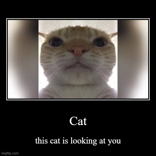 image tagged in funny,demotivationals | made w/ Imgflip demotivational maker