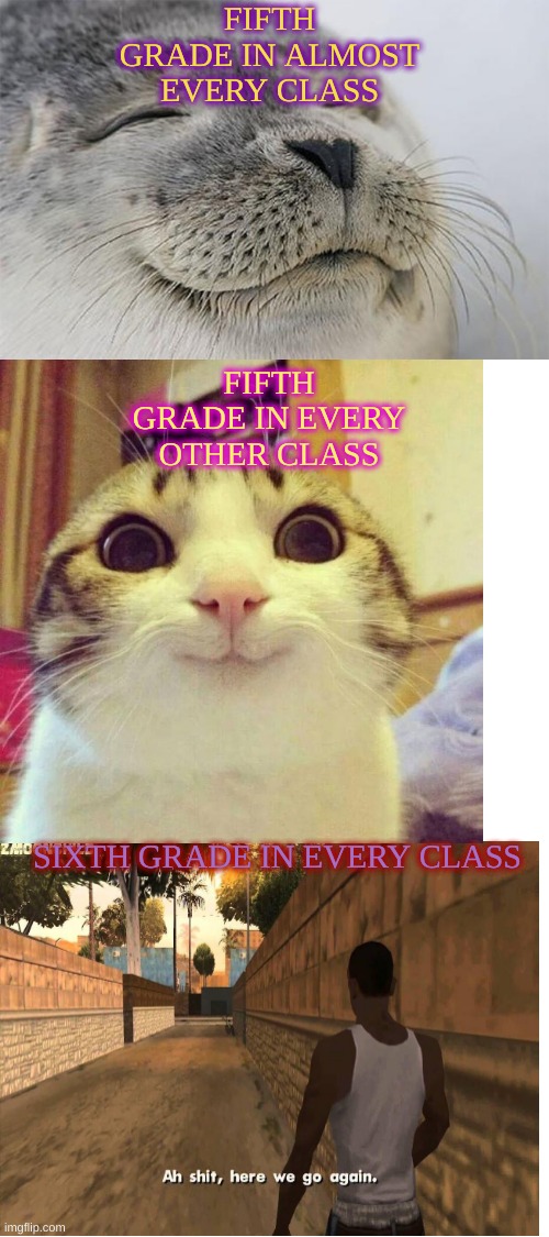 meme | FIFTH GRADE IN ALMOST EVERY CLASS; FIFTH GRADE IN EVERY OTHER CLASS; SIXTH GRADE IN EVERY CLASS | image tagged in memes | made w/ Imgflip meme maker