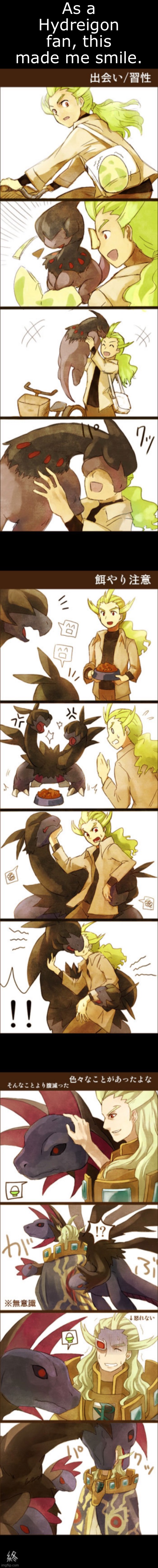 Artist unknown | As a Hydreigon fan, this made me smile. | image tagged in blank black | made w/ Imgflip meme maker