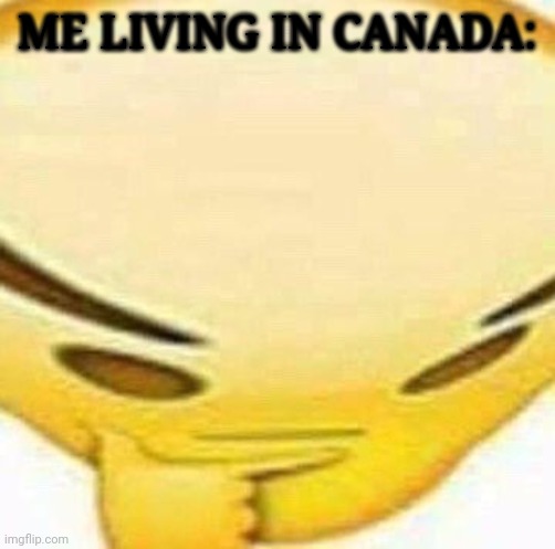 HMMMMMMM | ME LIVING IN CANADA: | image tagged in hmmmmmmm | made w/ Imgflip meme maker