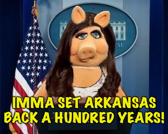 If anybody can, it's her | IMMA SET ARKANSAS BACK A HUNDRED YEARS! | image tagged in piggy sanders | made w/ Imgflip meme maker