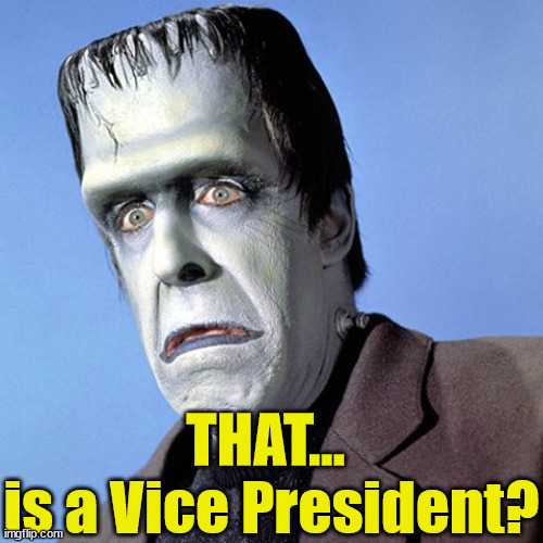 Herman Munster | THAT... 
is a Vice President? | image tagged in herman munster | made w/ Imgflip meme maker