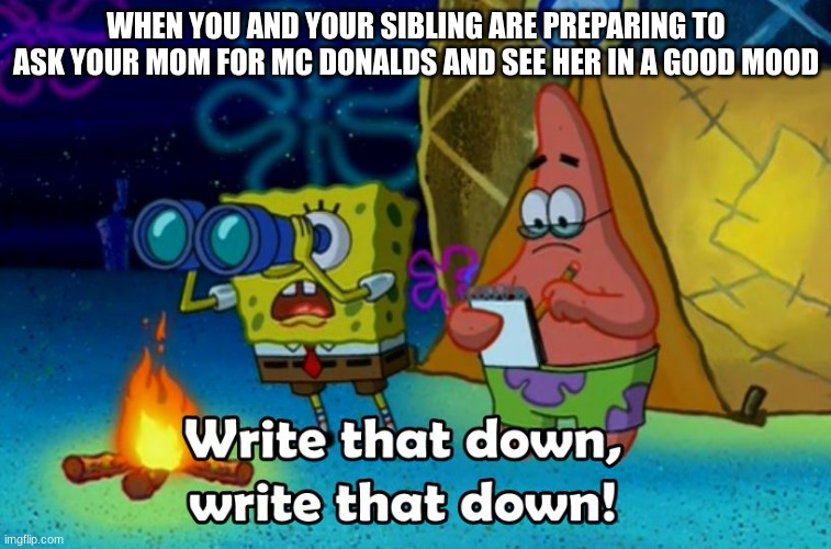 sooo true |  WHEN YOU AND YOUR SIBLING ARE PREPARING TO ASK YOUR MOM FOR MC DONALDS AND SEE HER IN A GOOD MOOD | image tagged in write that down | made w/ Imgflip meme maker