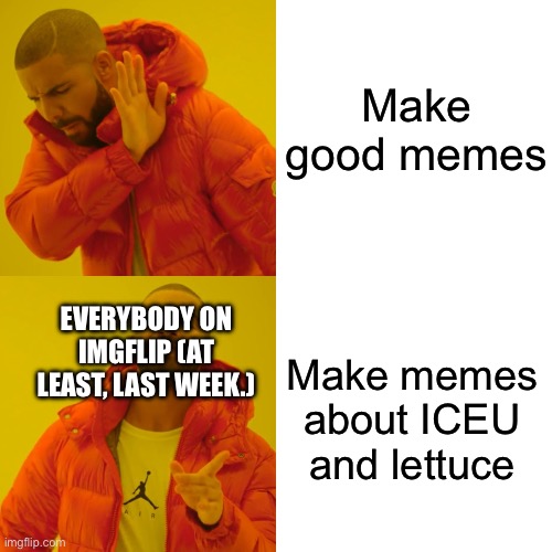Drake Hotline Bling Meme | Make good memes; EVERYBODY ON IMGFLIP (AT LEAST, LAST WEEK.); Make memes about ICEU and lettuce | image tagged in memes,drake hotline bling | made w/ Imgflip meme maker