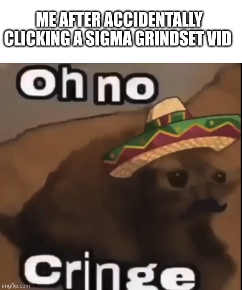 ME AFTER ACCIDENTALLY CLICKING A SIGMA GRINDSET VID | image tagged in blank white template,oh no cringe mexican version | made w/ Imgflip meme maker