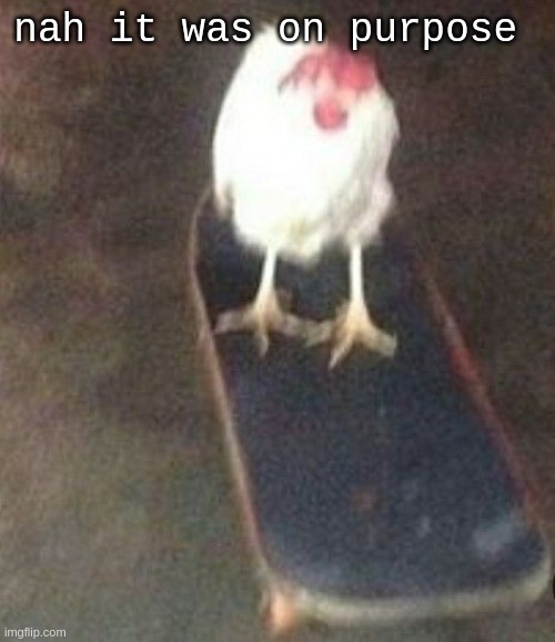 Dog on skateboard | nah it was on purpose | image tagged in dog on skateboard | made w/ Imgflip meme maker