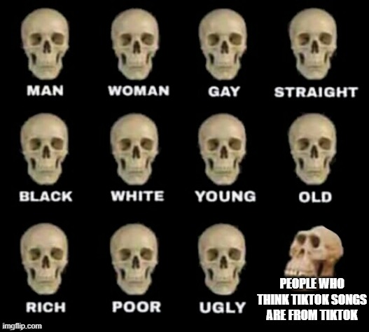 Hmm | PEOPLE WHO THINK TIKTOK SONGS ARE FROM TIKTOK | image tagged in idiot skull | made w/ Imgflip meme maker
