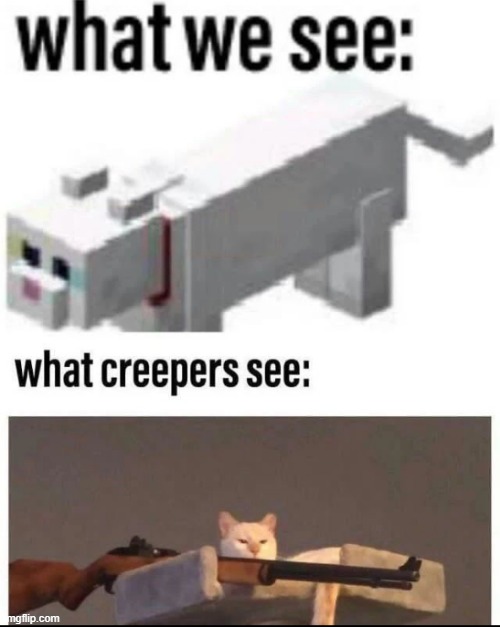 image tagged in minecraft,cats | made w/ Imgflip meme maker
