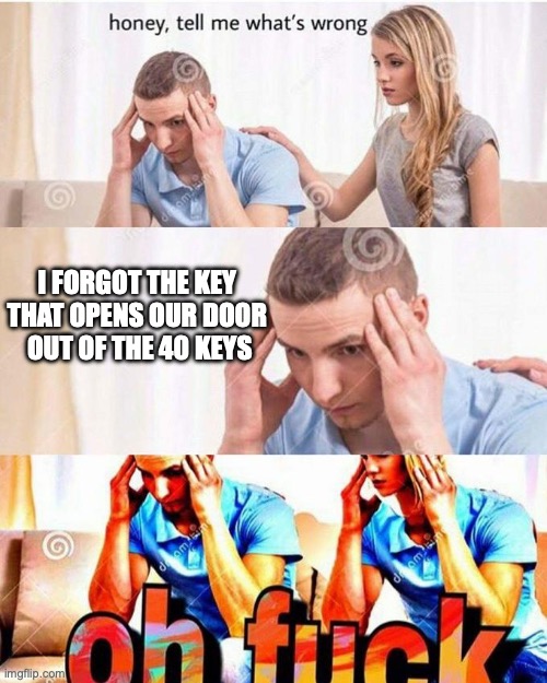 It's painful when you have over 12 of them and so on | I FORGOT THE KEY THAT OPENS OUR DOOR
 OUT OF THE 40 KEYS | image tagged in honey tell me what's wrong | made w/ Imgflip meme maker