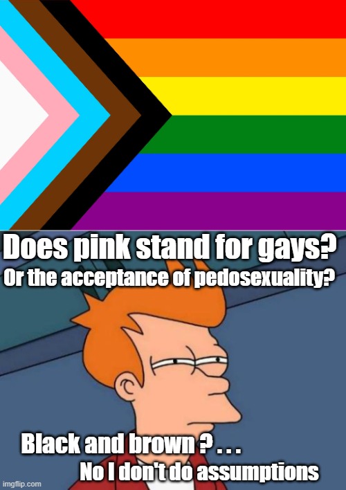 Give them a flag and let the least hated be just as hated as the most |  Does pink stand for gays? Or the acceptance of pedosexuality? Black and brown ? . . . No I don't do assumptions | image tagged in memes,futurama fry,lgbtq | made w/ Imgflip meme maker
