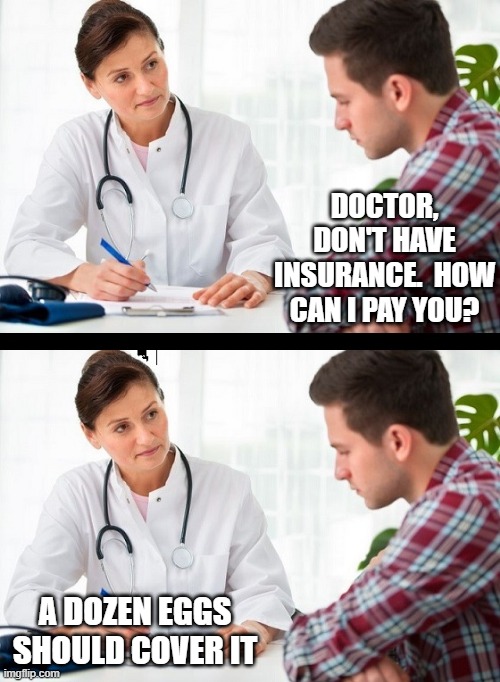 doctor and patient | DOCTOR, DON'T HAVE INSURANCE.  HOW CAN I PAY YOU? A DOZEN EGGS SHOULD COVER IT | image tagged in doctor and patient | made w/ Imgflip meme maker