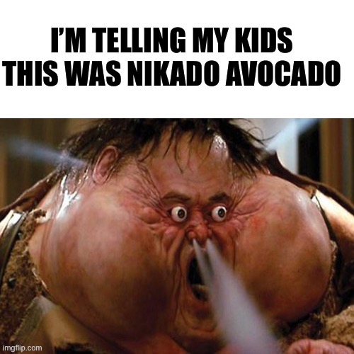 This was Nikado Avocado | image tagged in youtubers,fat,obese,shitpost,meme,funny memes | made w/ Imgflip meme maker