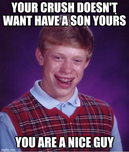 nice guy | YOUR CRUSH DOESN'݄T WANT HAVE A SON YOURS; YOU ARE A NICE GUY | image tagged in memes,bad luck brian,nice guy | made w/ Imgflip meme maker