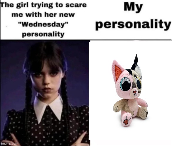 The girl trying to scare me with her new Wednesday personality | image tagged in the girl trying to scare me with her new wednesday personality | made w/ Imgflip meme maker