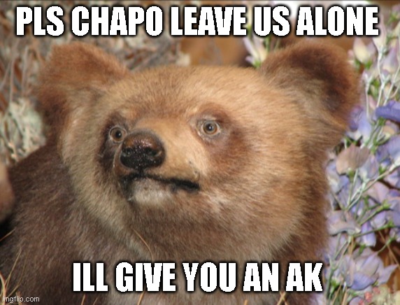 PLS CHAPO LEAVE US ALONE; ILL GIVE YOU AN AK | made w/ Imgflip meme maker