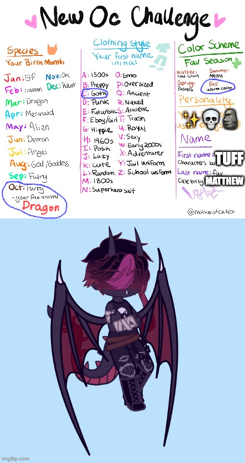 Did an OC challenge. Apparently dragons are generally considered furries, and birds are not | ✨💀🗿; MATTHEW; TUFF | made w/ Imgflip meme maker