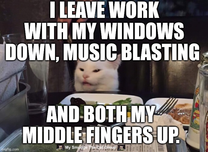 I LEAVE WORK WITH MY WINDOWS DOWN, MUSIC BLASTING; AND BOTH MY MIDDLE FINGERS UP. | image tagged in smudge the cat | made w/ Imgflip meme maker