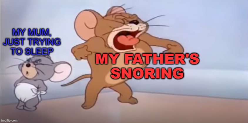 Skid told me to make this a template. | MY MUM, JUST TRYING TO SLEEP; MY FATHER'S SNORING | image tagged in dat mouse be screechin | made w/ Imgflip meme maker