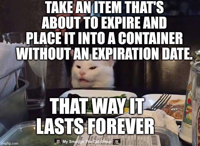 TAKE AN ITEM THAT'S ABOUT TO EXPIRE AND PLACE IT INTO A CONTAINER WITHOUT AN EXPIRATION DATE. THAT WAY IT LASTS FOREVER | image tagged in smudge the cat | made w/ Imgflip meme maker