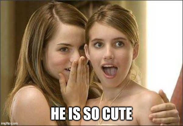 Girls gossiping | HE IS SO CUTE | image tagged in girls gossiping | made w/ Imgflip meme maker