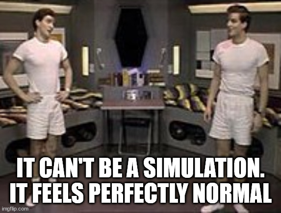 The Two Rimmers | IT CAN'T BE A SIMULATION. IT FEELS PERFECTLY NORMAL | image tagged in the two rimmers | made w/ Imgflip meme maker