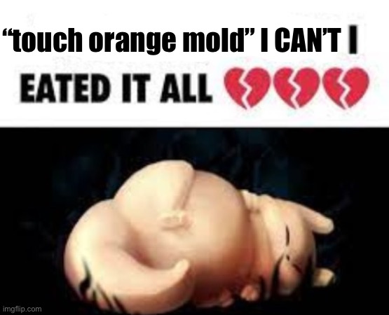 gourmand | “touch orange mold” I CAN’T | image tagged in gourmand | made w/ Imgflip meme maker
