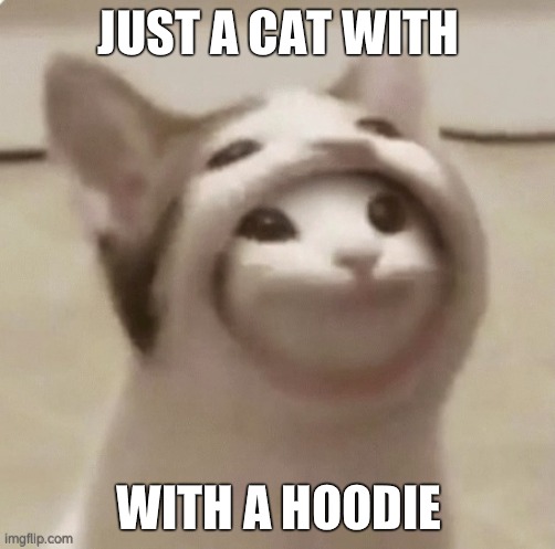 Catto | JUST A CAT WITH; WITH A HOODIE | image tagged in popcat | made w/ Imgflip meme maker
